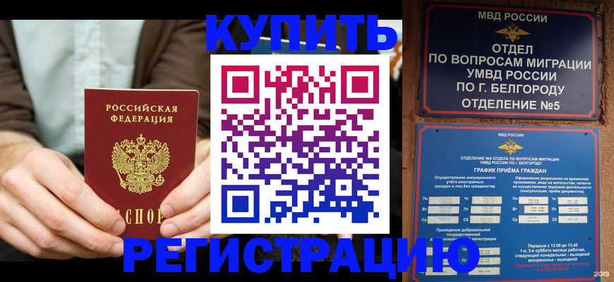 прописка 2025 в Чехове